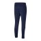 PUMA teamLIGA Trainingshose Blau F06 - blau