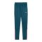 PUMA teamLIGA Trainingshose Kids Türkis F56 - tuerkis