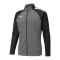 PUMA teamLIGA Trainingsjacke Grau Schwarz F13 - grau