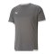 PUMA teamLIGA Trikot Grau F13 - grau