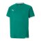 PUMA teamLIGA Trikot Kids Grün F05 - gruen