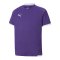 PUMA teamLIGA Trikot Kids Lila F10 - lila