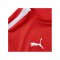 PUMA teamLIGA Trikot Kids Rot F01 - rot