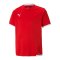 PUMA teamLIGA Trikot Kids Rot F01 - rot