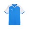 PUMA teamLIGA26 Matchday Trikot Blau F02 - blau