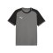 PUMA teamLIGA26 Matchday Trikot Grau F13 - grau
