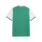 PUMA teamLIGA26 Matchday Trikot Grün F05 - gruen