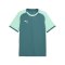 PUMA teamLIGA26 Matchday Trikot Grün F43 - gruen
