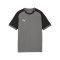 PUMA teamLIGA26 Matchday Trikot Kids Grau F13 - grau
