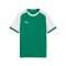 PUMA teamLIGA26 Matchday Trikot Kids Grün F05 - gruen