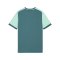 PUMA teamLIGA26 Matchday Trikot Kids Grün F43 - gruen