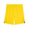 PUMA teamLIGA26 Short Kids Gelb F07 - gelb