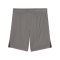 PUMA teamLIGA26 Short Kids Grau F13 - grau