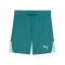 PUMA teamLIGA26 Short Kids Grün F43 - gruen