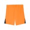PUMA teamLIGA26 Short Kids Orange F08 - orange