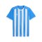 PUMA teamLIGA26 Striped Trikot Blau F02 - blau