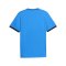 PUMA teamLIGA26 Striped Trikot Blau F12 - blau