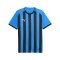 PUMA teamLIGA26 Striped Trikot Blau F12 - blau