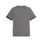 PUMA teamLIGA26 Striped Trikot Grau F13 - grau