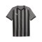 PUMA teamLIGA26 Striped Trikot Grau F13 - grau