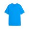 PUMA teamLIGA26 Striped Trikot Kids Blau F02 - blau
