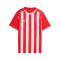 PUMA teamLIGA26 Striped Trikot Kids Rot F01 - rot