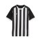 PUMA teamLIGA26 Striped Trikot Kids Schwarz F03 - schwarz