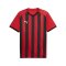 PUMA teamLIGA26 Striped Trikot Rot F11 - rot