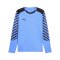 PUMA teamLIGA26 Torwarttrikot Langarm Blau F31 - blau