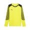 PUMA teamLIGA26 Torwarttrikot Langarm Gelb F22 - gelb