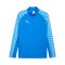 PUMA teamLIGA26 Training 1/4 Zip Top Blau F02 - blau