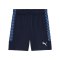 PUMA teamLIGA26 Training Short Blau F06 - blau