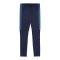 PUMA teamLIGA26 Trainingshose Blau F06 - blau