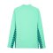 PUMA teamLIGA26 Trainingsjacke Grün F80 - gruen