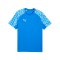 PUMA teamLIGA26 Trikot Blau F02 - blau