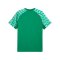 PUMA teamLIGA26 Trikot Grün F05 - gruen