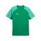 PUMA teamLIGA26 Trikot Grün F05 - gruen