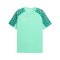 PUMA teamLIGA26 Trikot Grün F80 - gruen