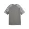 PUMA teamLIGA26 Trikot Kids Grau F13 - grau