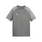 PUMA teamLIGA26 Trikot Kids Grau F13 - grau