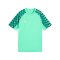 PUMA teamLIGA26 Trikot Kids Grün F80 - gruen