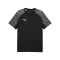 PUMA teamLIGA26 Trikot Schwarz F03 - schwarz