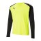 PUMA teamPACER Torwarttrikot langarm Gelb F42 - gelb