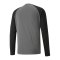 PUMA teamPACER Torwarttrikot langarm Grau F43 - grau