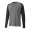 PUMA teamPACER Torwarttrikot langarm Grau F43 - grau
