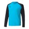 PUMA teamPACER Torwarttrikot langarm Kids F40 - blau