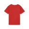PUMA teamRISE Logo Trainingshirt Kids Rot F01 - rot