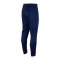 PUMA teamRISE Poly Trainingshose Blau Weiss F06 - blau