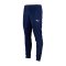 PUMA teamRISE Poly Trainingshose Blau Weiss F06 - blau