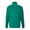 PUMA teamRISE Poly Trainingsjacke Kids Grün F05 - gruen